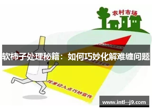 软柿子处理秘籍:如何巧妙化解难缠问题 软柿子处理秘籍:如何巧妙化解难缠问题