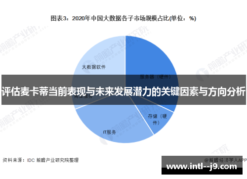 评估麦卡蒂当前表现与未来发展潜力的关键因素与方向分析 评估麦卡蒂当前表现与未来发展潜力的关键因素与方向分析