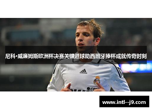 尼科·威廉姆斯欧洲杯决赛关键进球助西班牙捧杯成就传奇时刻 尼科·威廉姆斯欧洲杯决赛关键进球助西班牙捧杯成就传奇时刻